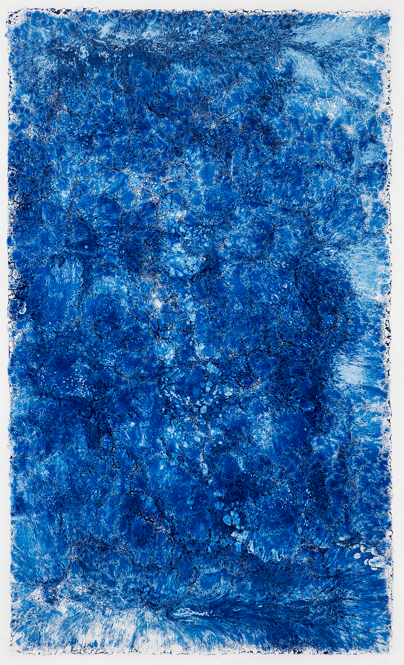 Investigaciones en Azul XII